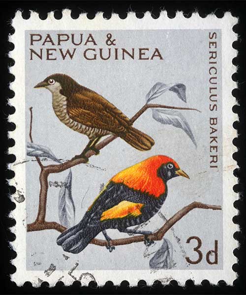 Sizzler's Restaurant - colour prints of Papua New Guinea postal stamps
