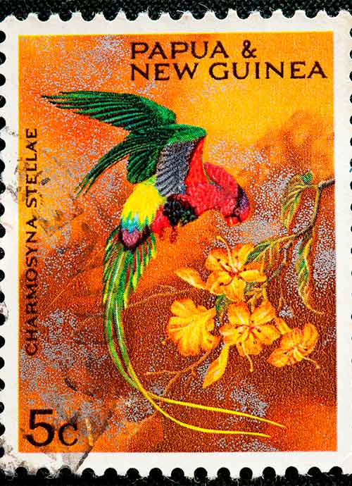 Sizzler's Restaurant - colour prints of Papua New Guinea postal stamps